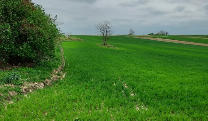 Działka budowlana Sułoszowa