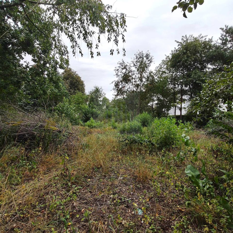 Działka budowlana Stara Wieś. Zdjęcie 3