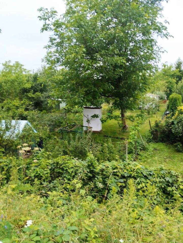 Działka rod Toruń, ul. Stanisława Przybyszewskiego. Zdjęcie 6