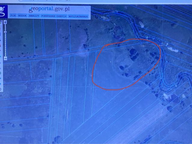 Działka rolna Tokary. Zdjęcie 1