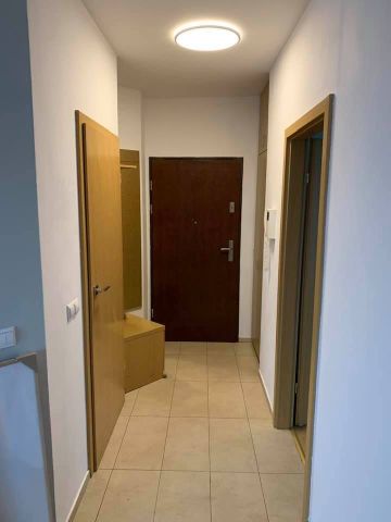 Mieszkanie 2-pokojowe Wrocław Stare Miasto, ul. Krawiecka. Zdjęcie 20