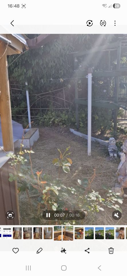 Działka rekreacyjna Lesiak Ostródzki, Nenufar. Zdjęcie 4