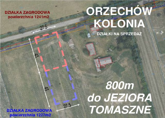 Działka siedliskowa Orzechów-Kolonia. Zdjęcie 1