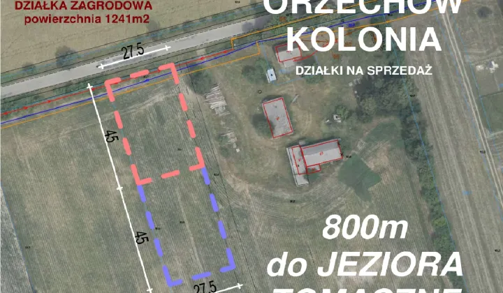 Działka siedliskowa Orzechów-Kolonia