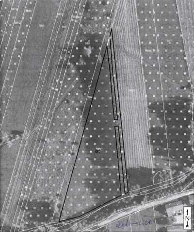 Działka rolna Pielaszów. Zdjęcie 1