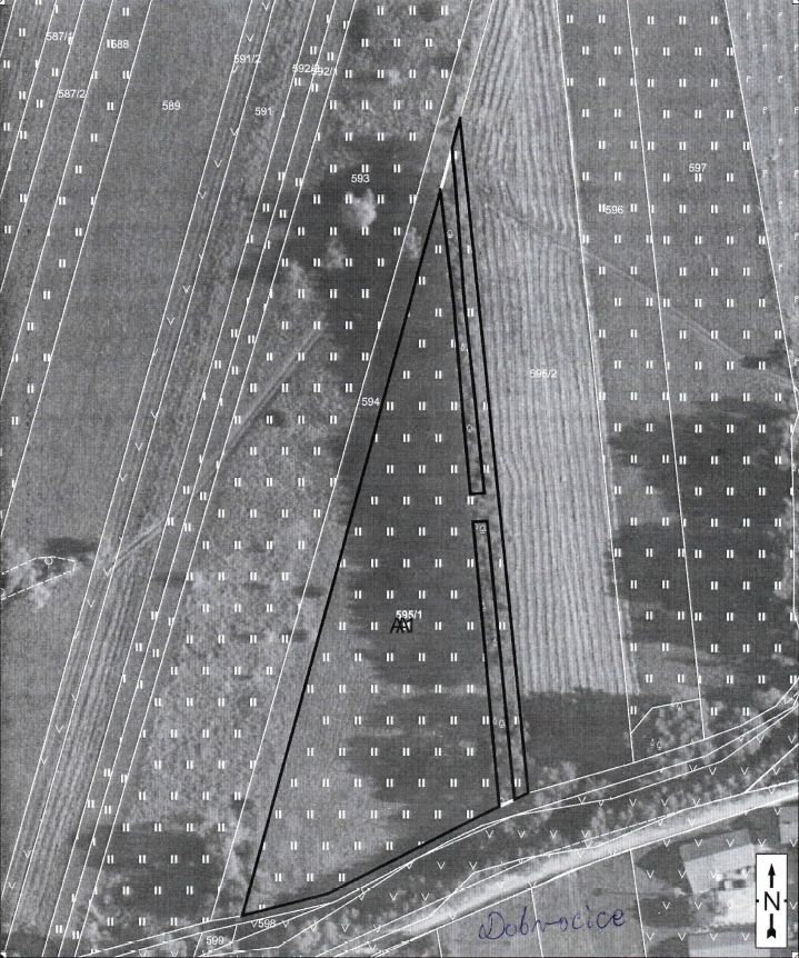 Działka rolna Pielaszów. Zdjęcie 1