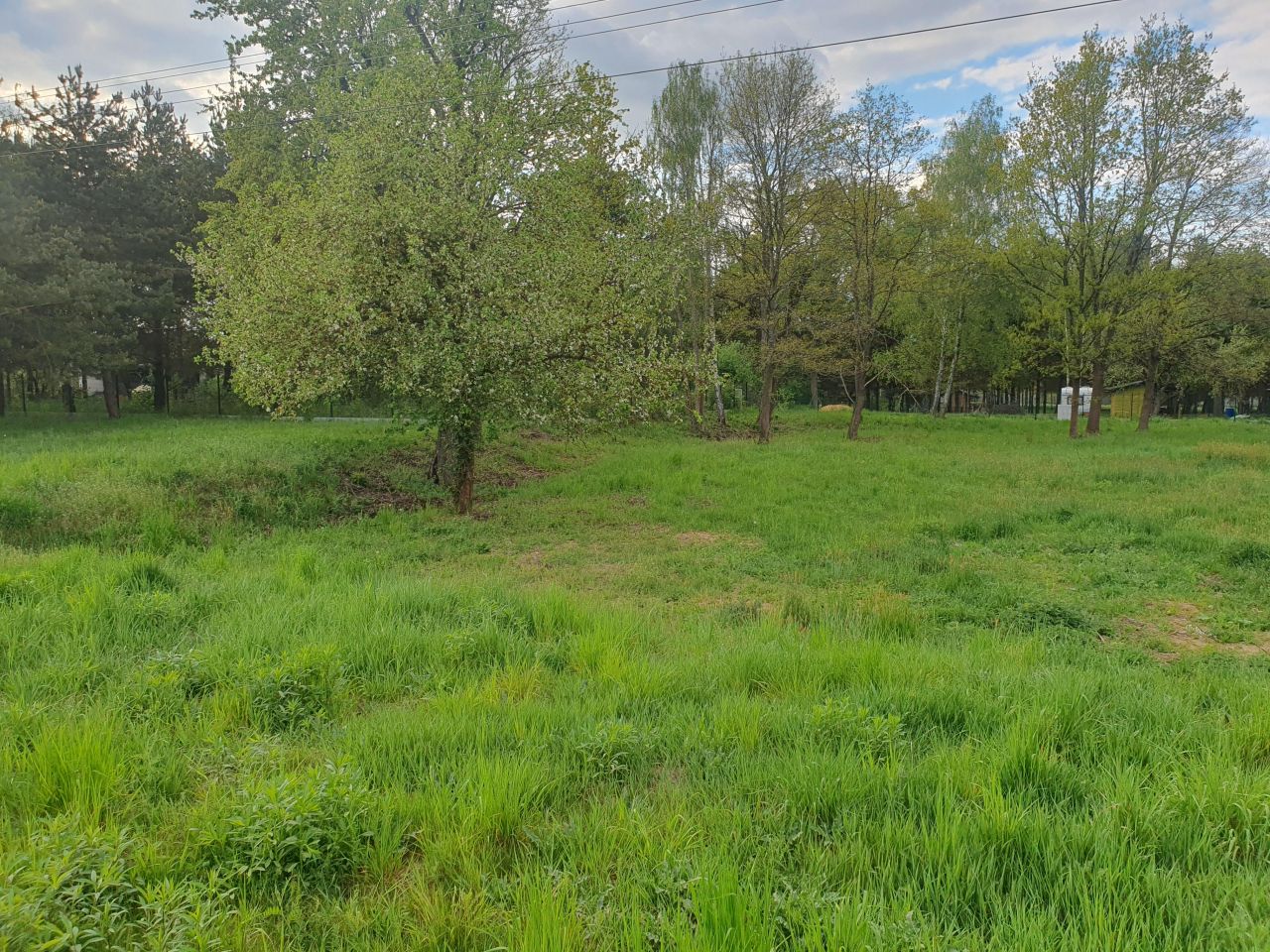 Działka budowlana Golesze-Parcela. Zdjęcie 4