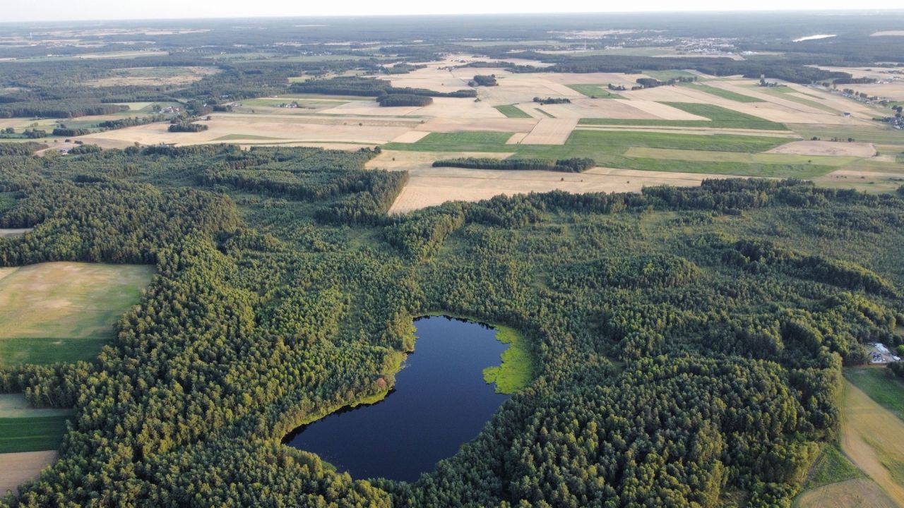 Działka inwestycyjna Lidzbark. Zdjęcie 6