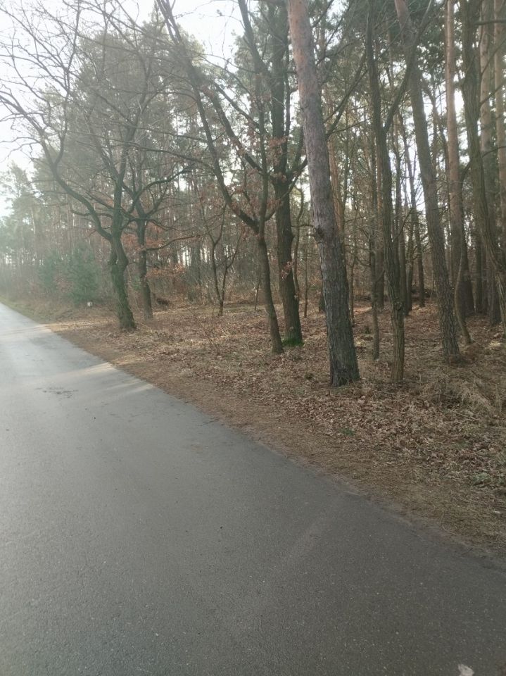 Działka inna Góra Bałdrzychowska-Kolonia. Zdjęcie 2