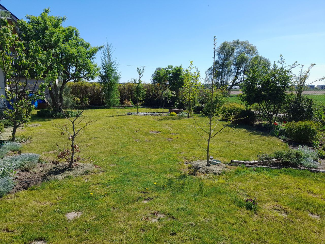 Działka budowlana Konarskie, ul. Bielawy. Zdjęcie 11