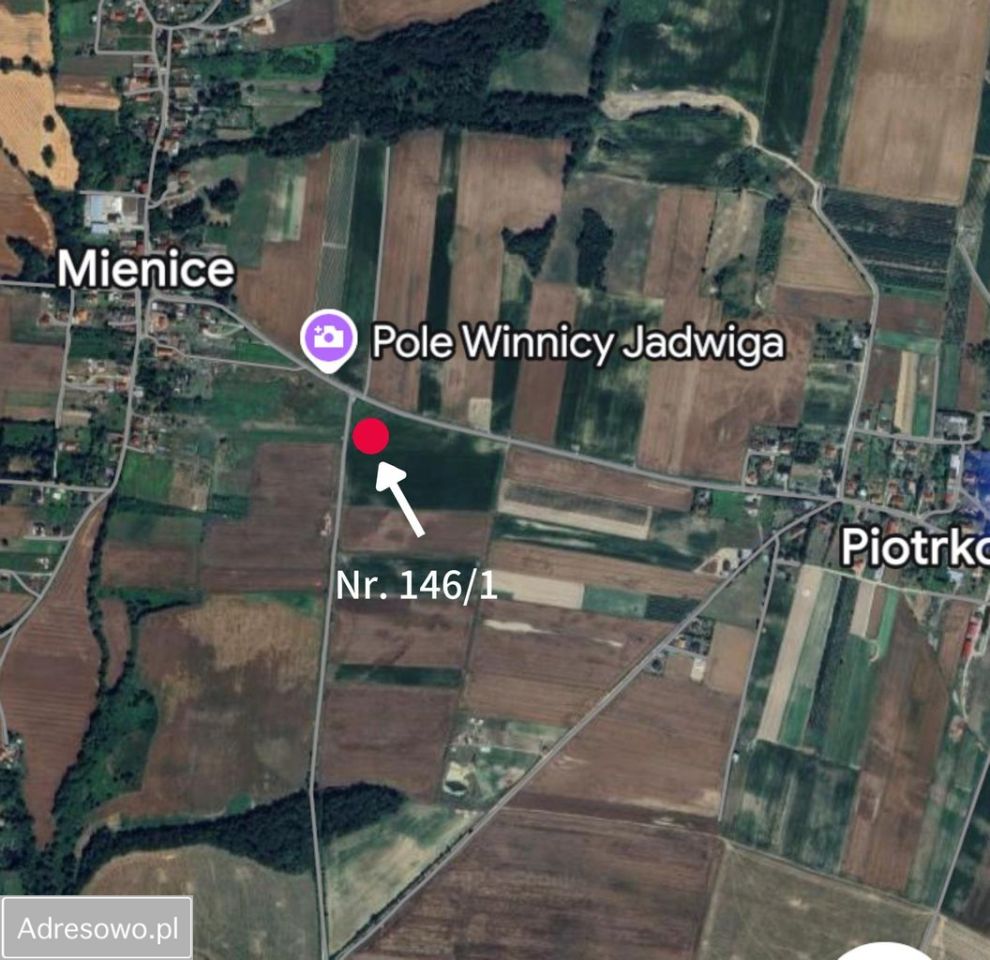 Działka budowlana Mienice. Zdjęcie 2