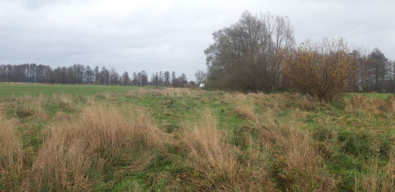 Działka budowlana Łącznica. Zdjęcie 3