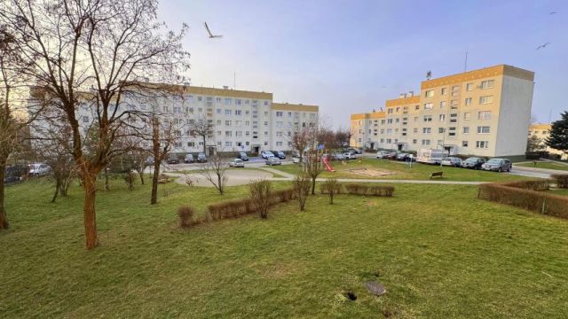 Mieszkanie 2-pokojowe Elbląg, ul. Janusza Korczaka. Zdjęcie 9