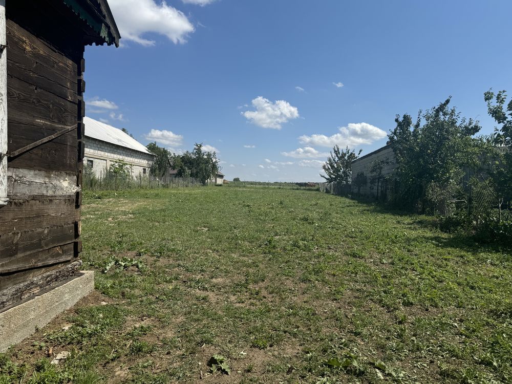 inny Pniewiski. Zdjęcie 5