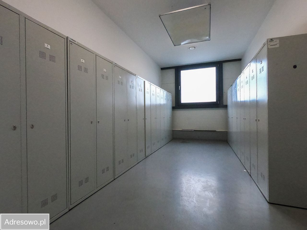 Hala/magazyn Pyskowice. Zdjęcie 5