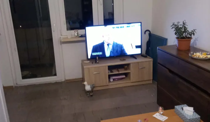 Mieszkanie 2-pokojowe Brzeg, ul. Majora Sucharskiego