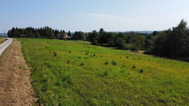 Działka budowlana Nowy Borek. Zdjęcie 8