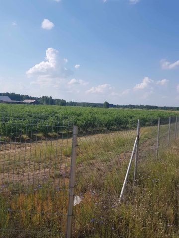 Działka rolno-budowlana Drgicz. Zdjęcie 1