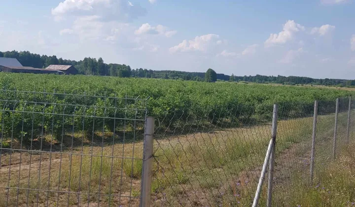 Działka rolno-budowlana Drgicz