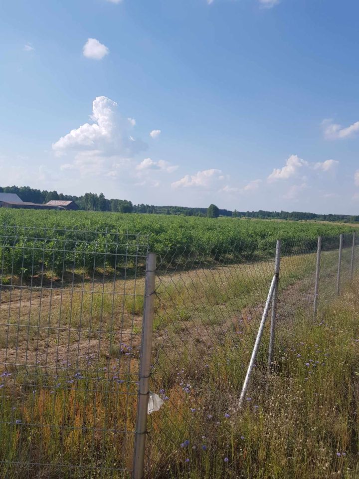 Działka rolno-budowlana Drgicz