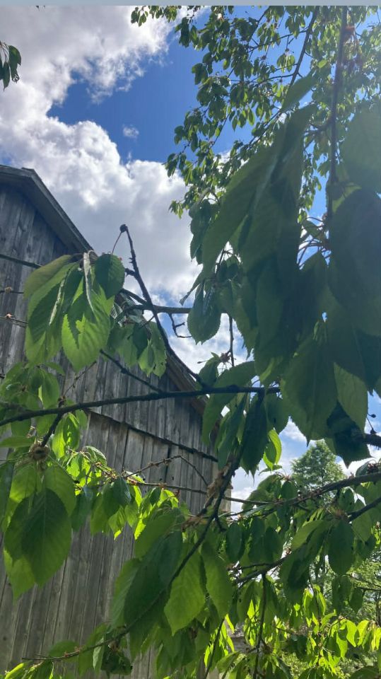 siedlisko, 5 pokoi Libiszów. Zdjęcie 3