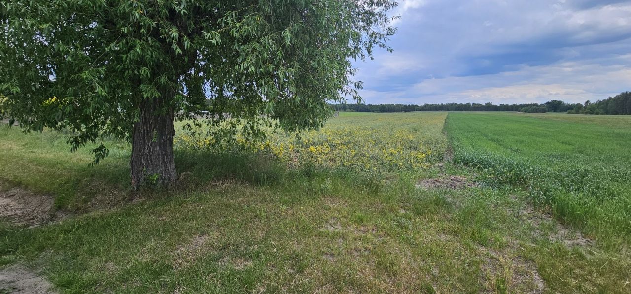 Działka rolno-budowlana Bąkowiec. Zdjęcie 6