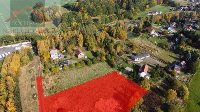 Działka inwestycyjna Olszyna Dolna. Zdjęcie 1