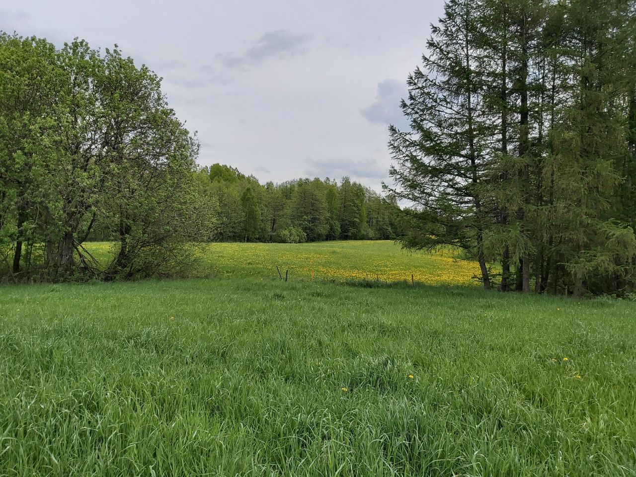 Działka budowlana Mierkinie. Zdjęcie 4