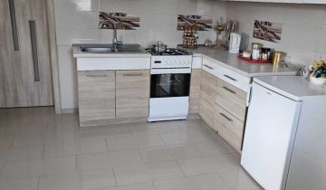 gospodarstwo, 5 pokoi Ziębów