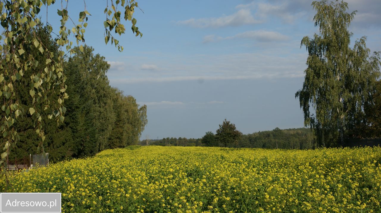 dom wolnostojący, 2 pokoje Dąbrówka Duża. Zdjęcie 12