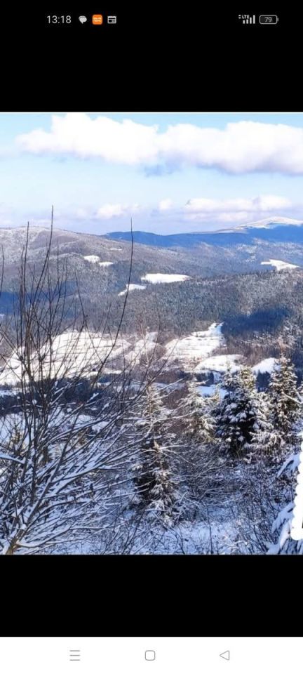 Działka rolna Lubomierz. Zdjęcie 4