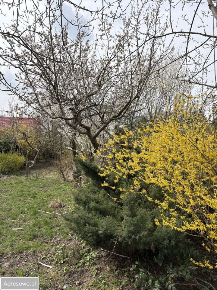 dom wolnostojący, 2 pokoje Ryczów, ul. Jana Pawła II. Zdjęcie 5