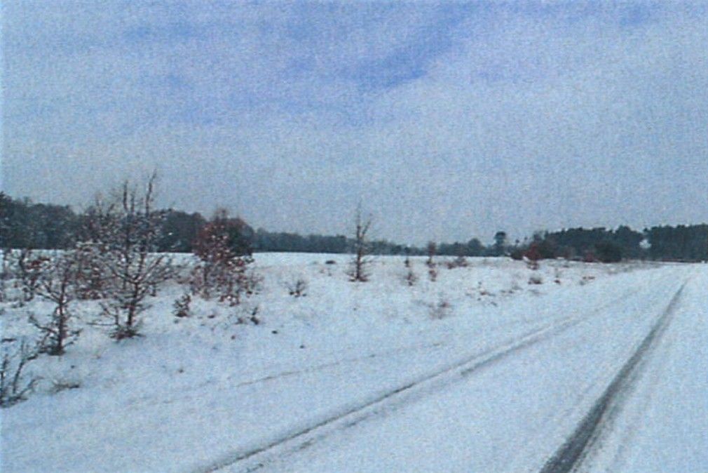 Działka rolna Śladów, brak. Zdjęcie 1