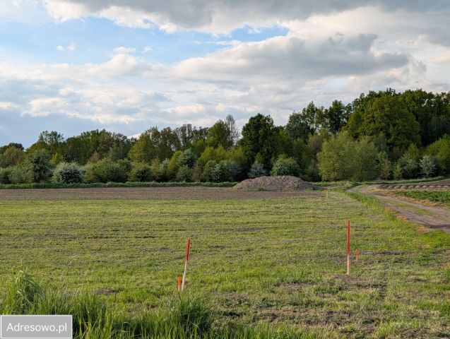 Działka budowlana Żeliszów. Zdjęcie 1
