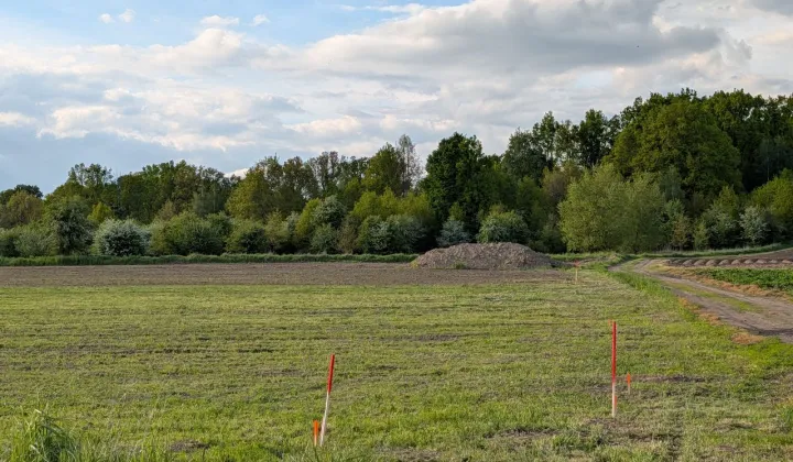 Działka budowlana Żeliszów