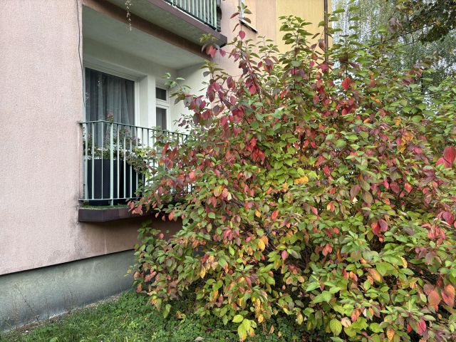 Mieszkanie 1-pokojowe Katowice Ligota, ul. Małopolska. Zdjęcie 1