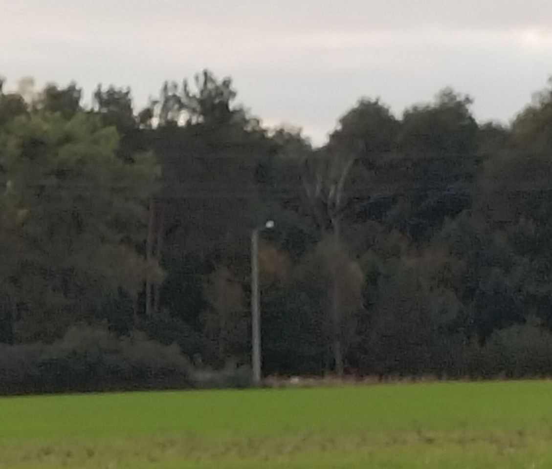 Działka budowlana Laskownica. Zdjęcie 2