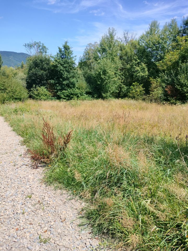 Działka rolno-budowlana Krasne Potockie Nowa Wieś. Zdjęcie 4