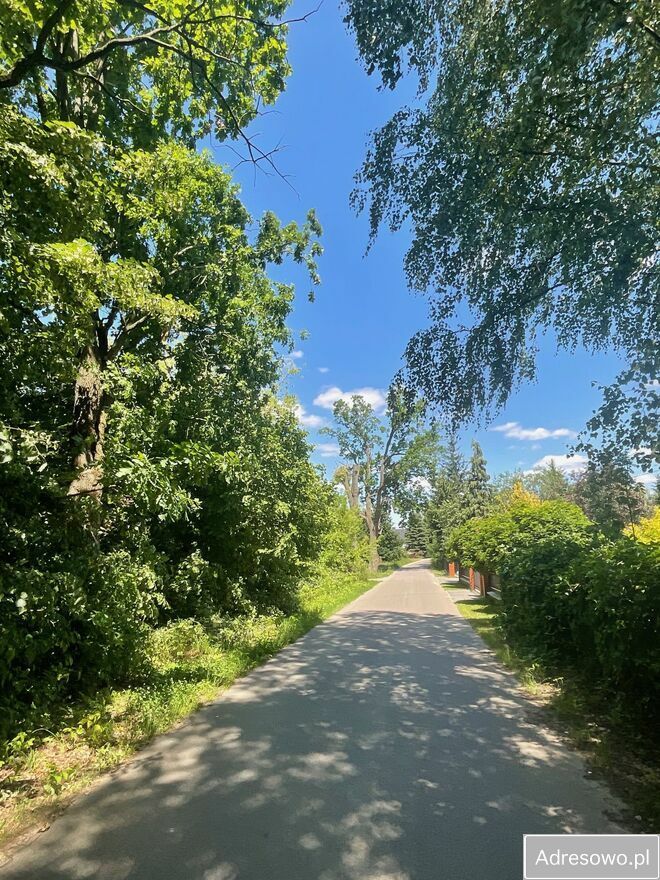 Działka rolna Boroszków. Zdjęcie 5