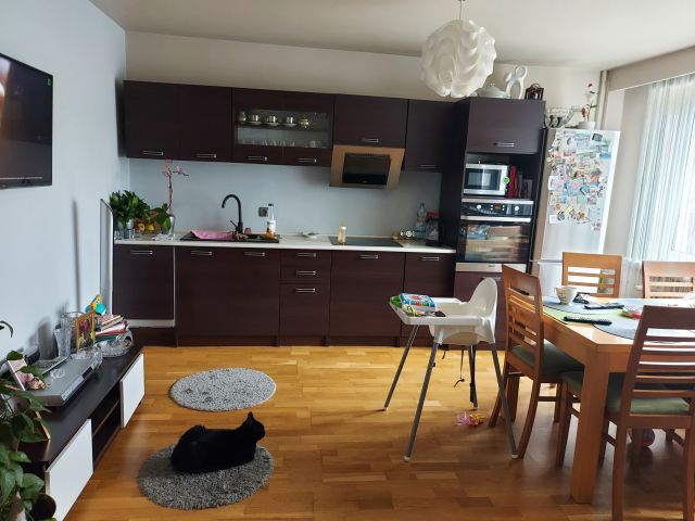 Mieszkanie 2-pokojowe Ostrowiec Świętokrzyski, ul. Jana Kochanowskiego. Zdjęcie 1