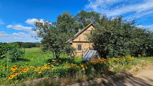 Działka siedliskowa Cimanie. Zdjęcie 4