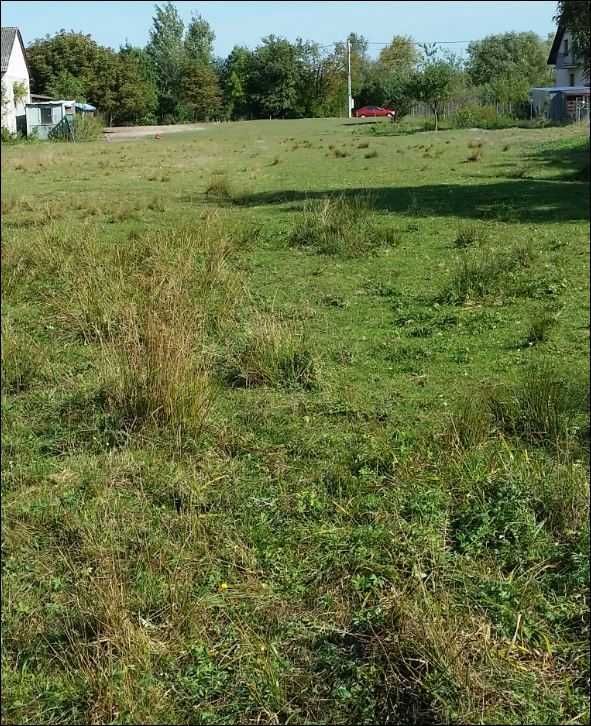 Działka rolno-budowlana Małków. Zdjęcie 3