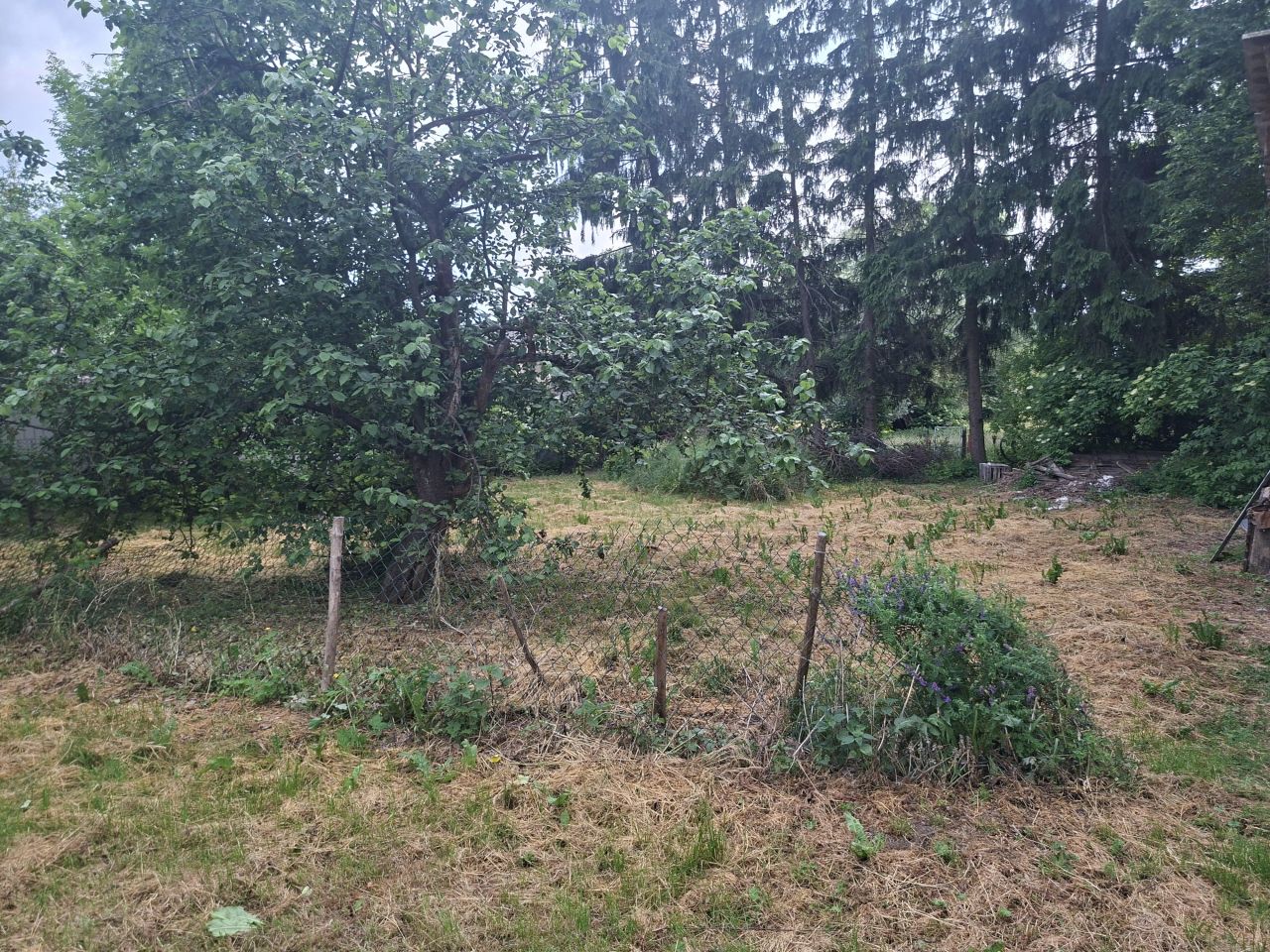dom wolnostojący Dołhobrody, Dołhobrody. Zdjęcie 7