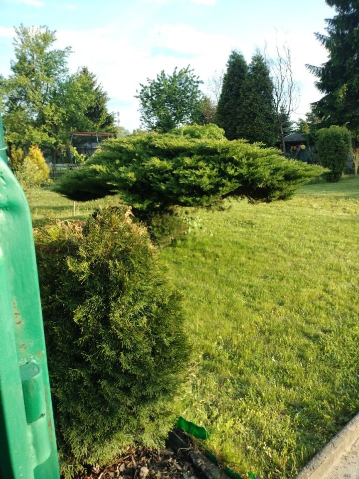 Działka rod Zabrze Biskupice. Zdjęcie 6