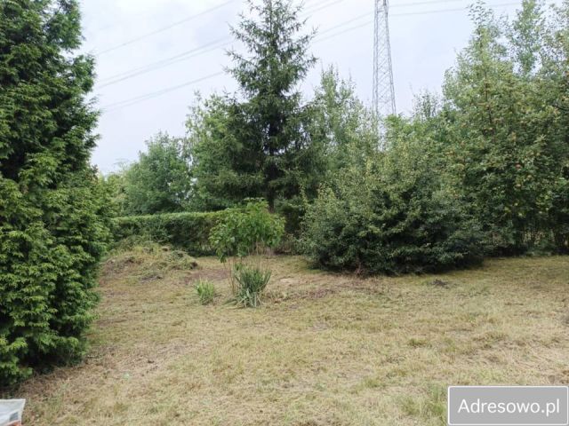 Działka rekreacyjna Polkowice. Zdjęcie 1