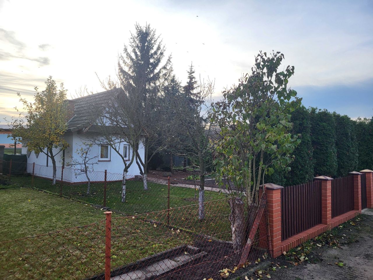 Działka rod Toruń Rubinkowo. Zdjęcie 2