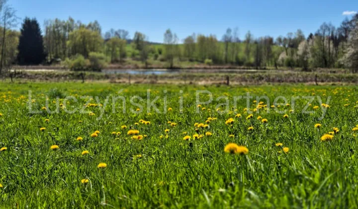 Działka siedliskowa Dębowy Gaj