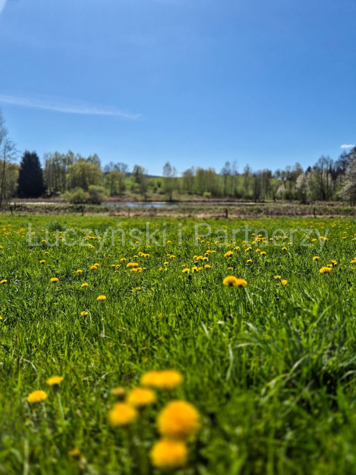 Działka siedliskowa Dębowy Gaj. Zdjęcie 1