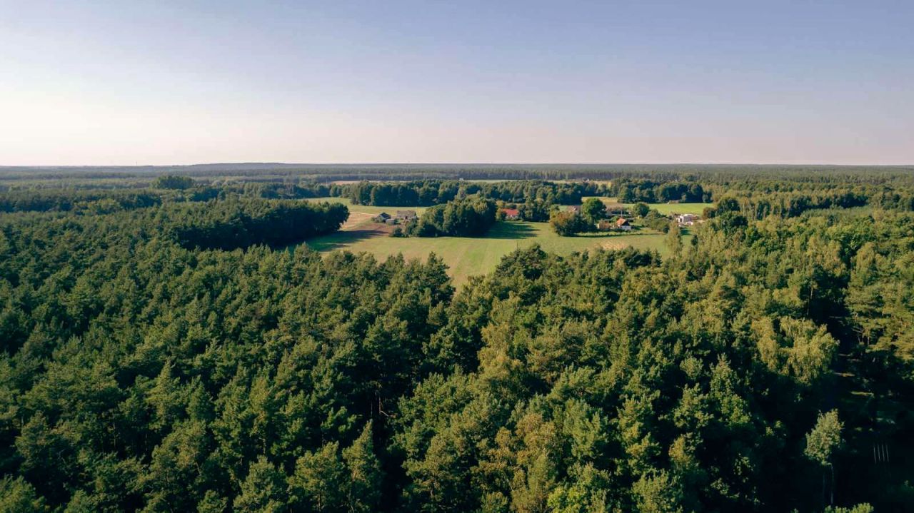 Działka budowlana Skrzynka. Zdjęcie 7