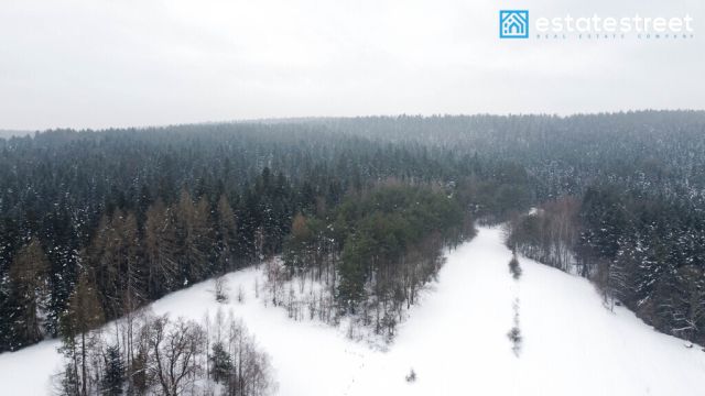 Działka rolna Kuźmina. Zdjęcie 5